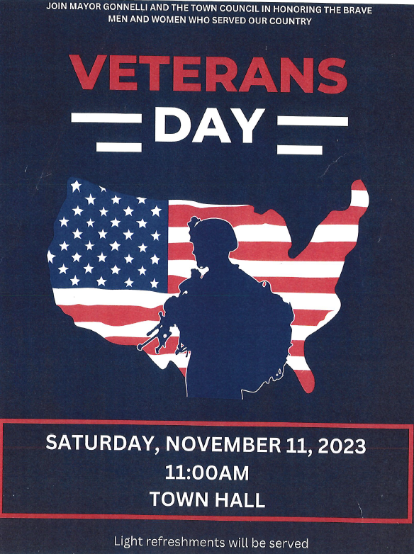 veterans day ceremony flyer