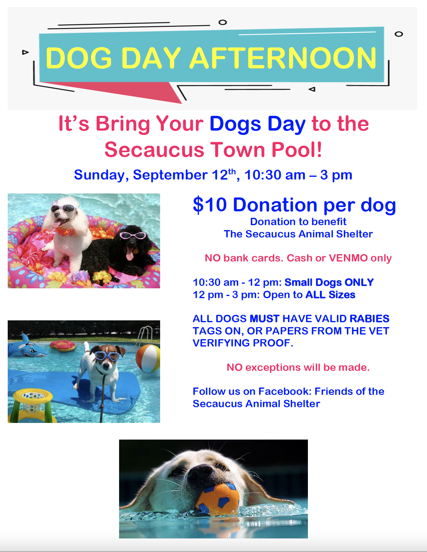 Dog Day at Secaucus Pool Flyer
